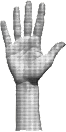 Mão levantada simbolizando participação