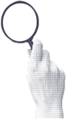 Lupa em investigação